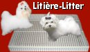 Litire pour chien